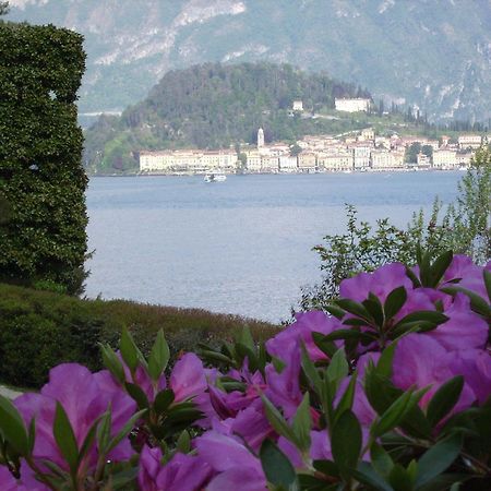 Charming Glicine And Azalea House Art And Colour With Lakeview Cadenabbia Exteriér fotografie