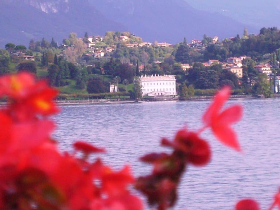 Charming Glicine And Azalea House Art And Colour With Lakeview Cadenabbia Exteriér fotografie