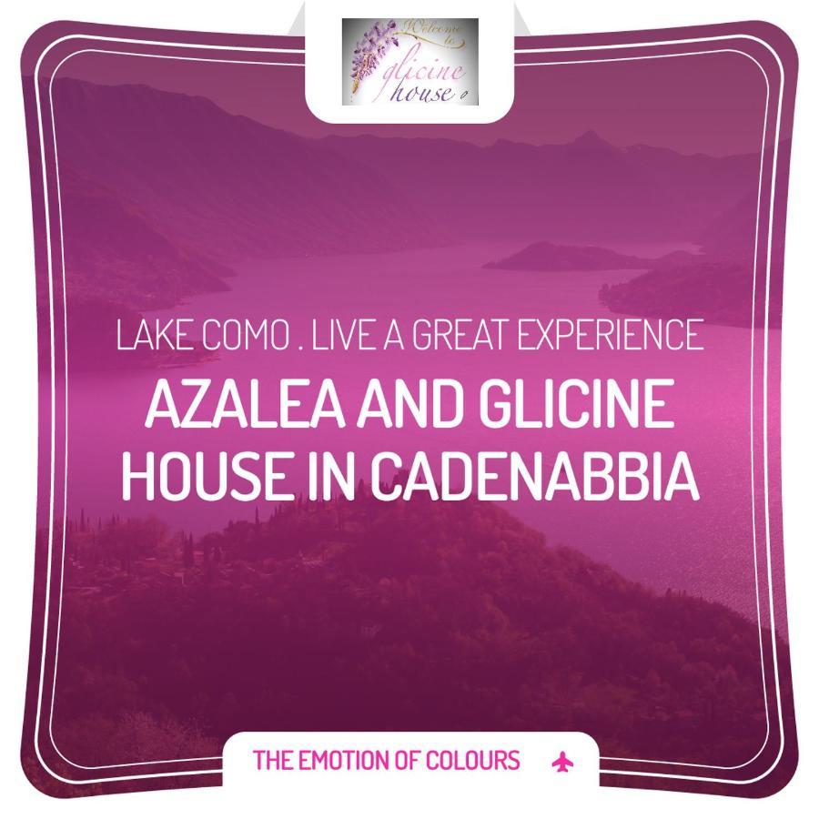 Charming Glicine And Azalea House Art And Colour With Lakeview Cadenabbia Exteriér fotografie