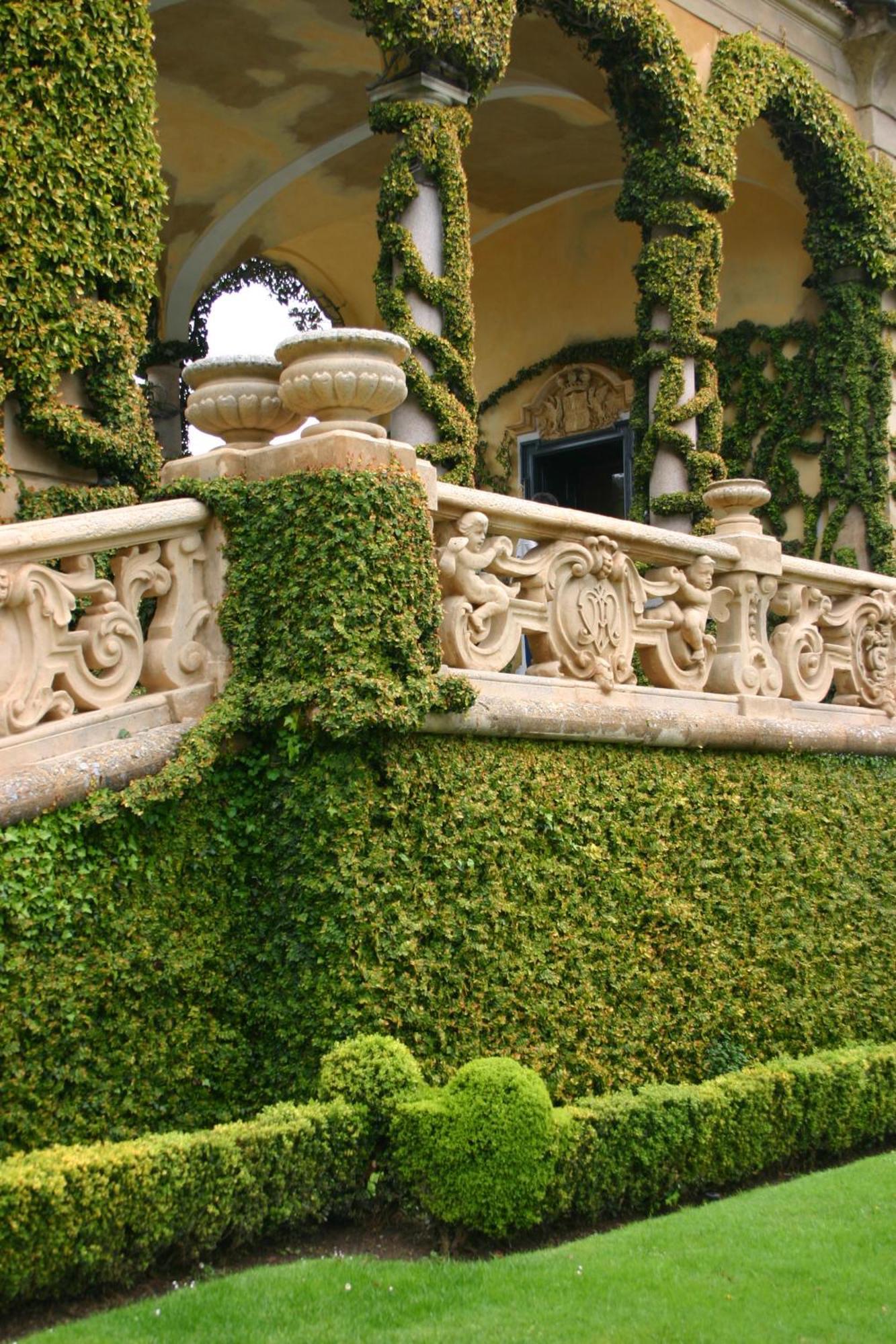 Charming Glicine And Azalea House Art And Colour With Lakeview Cadenabbia Exteriér fotografie