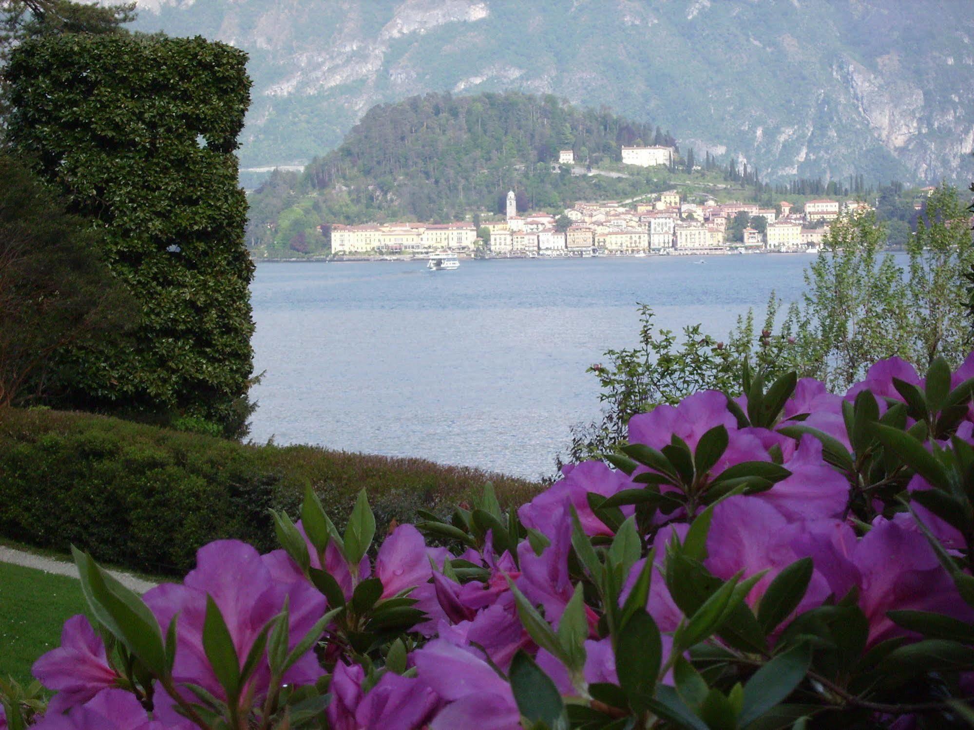 Charming Glicine And Azalea House Art And Colour With Lakeview Cadenabbia Exteriér fotografie